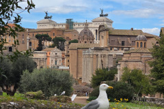 25574f13-b501-469e-a74e-6da5648b62d6