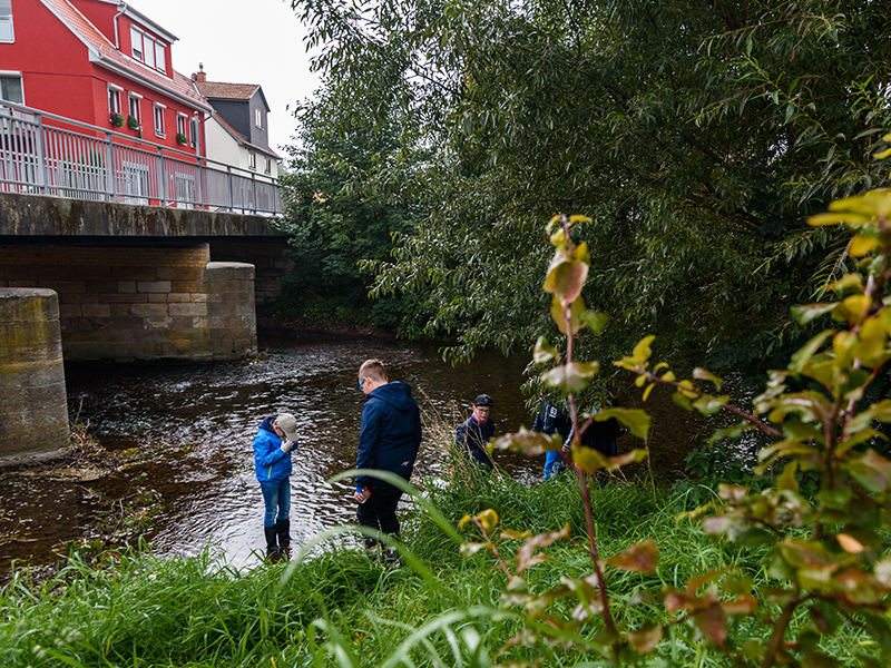 Volle Breitseite Grün – ein Gymnasium mit Blick auf Nachhaltigkeit