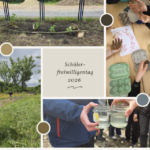 Unser Tag in der Natura‑2000-Station