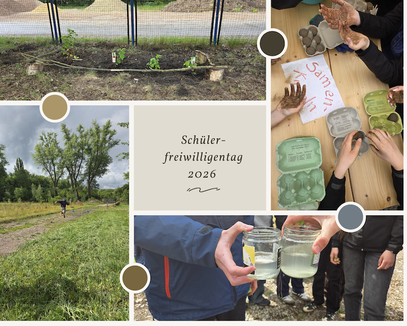 Unser Tag in der Natura‑2000-Station