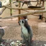 Zoobesuch der Klasse 5a